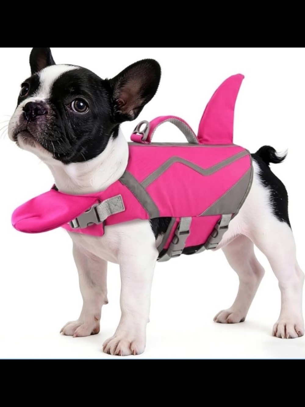 New! Petglad Shark Dog Life Jacket, Adjustable Dog Life Vest with Chin Float (M)